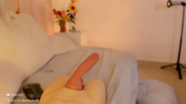 Nicolemorelli2 webcam
