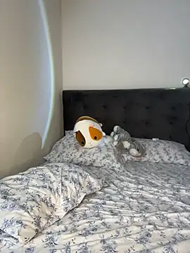 lost_wood19 🦖 live online webcam