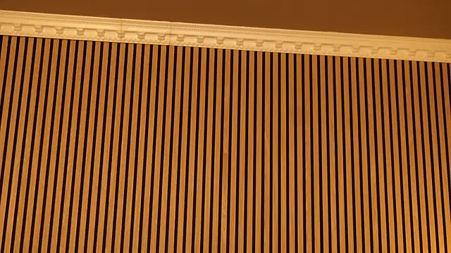 zoeylarkens webcam
