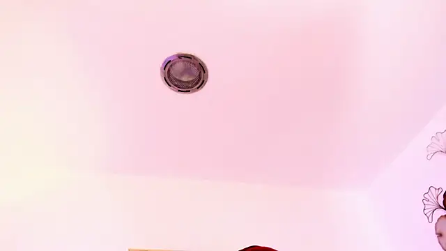 _Malak webcam