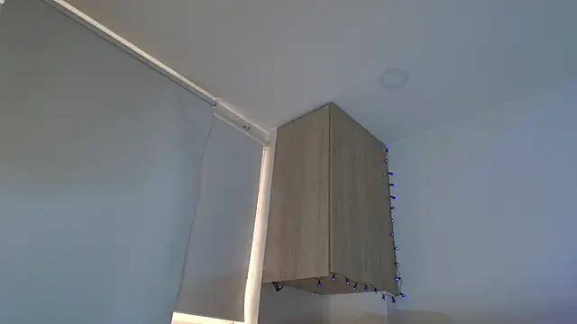 Charlotte11-11 webcam