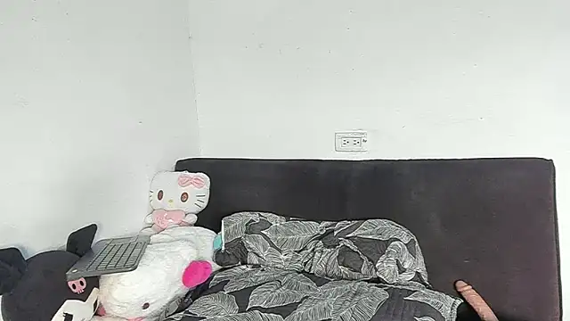 Eirlysx webcam