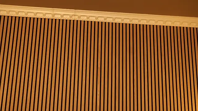 zoeylarkens webcam