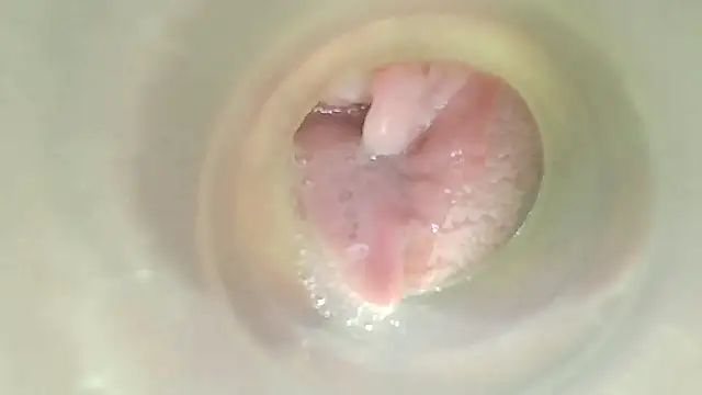 karol_stom webcam