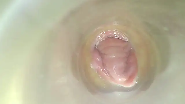 karol_stom webcam