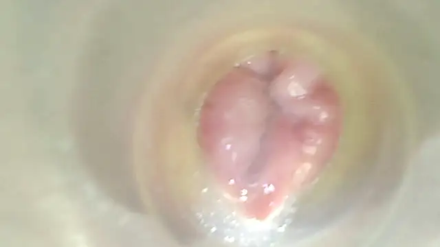 karol_stom webcam