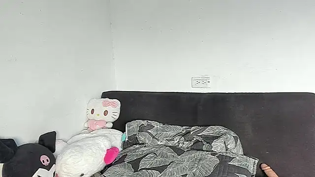 Eirlysx webcam