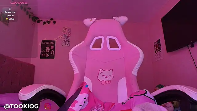 TOOKIOG_ webcam