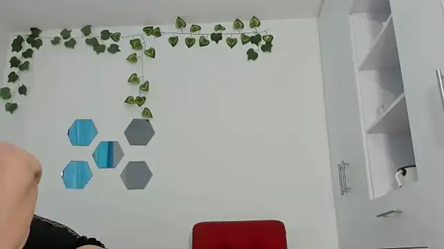 Atenea_19_ webcam