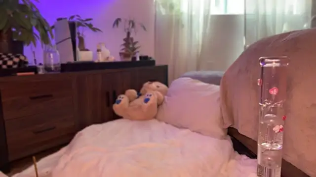 allpawgsgotoheaven webcam