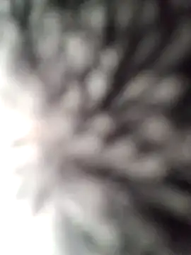 Patrickksa live cam on StripChat