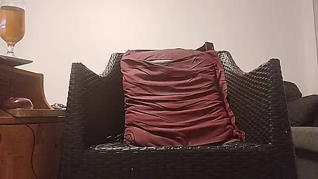 Tyyson03 webcam