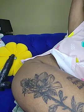 Drippincaty webcam