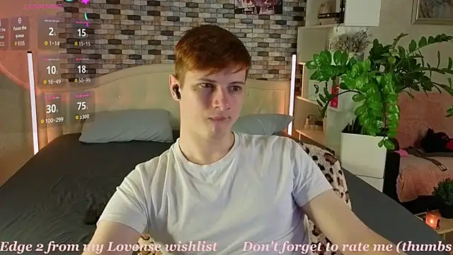 Allert_ webcam