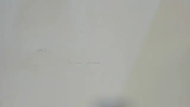 dakotadolly webcam