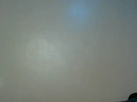Hunnybloom webcam