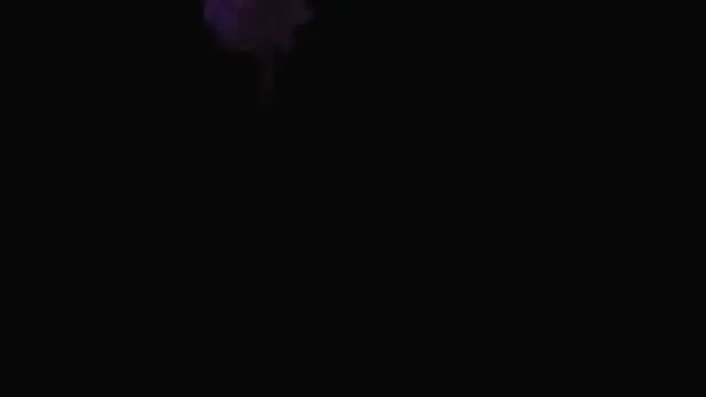 awenggg live cam on StripChat