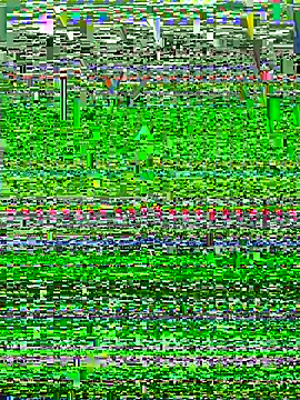 ghsdfhsf webcam