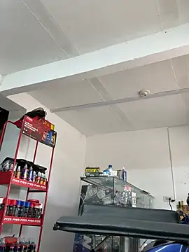 Paul22cm- webcam