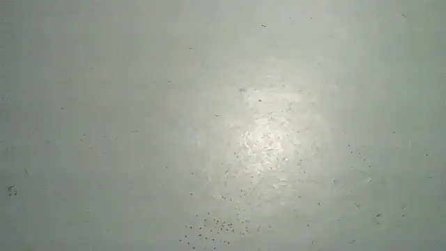 flayeyena live sex cam
