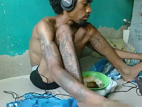 soypleve webcam