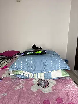 sandylau webcam