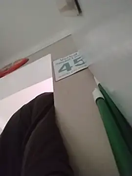 ReallyReallyReal webcam