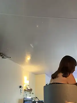 reaLISStic webcam