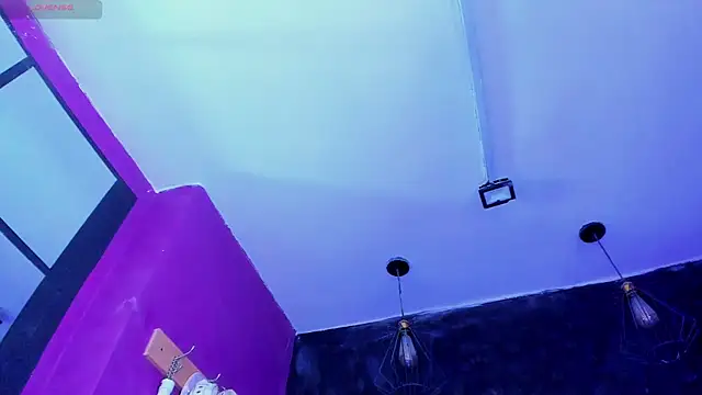 Alexa_Slave webcam