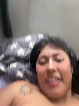 pawmistry webcam