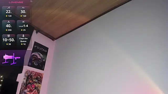 tim__fox webcam