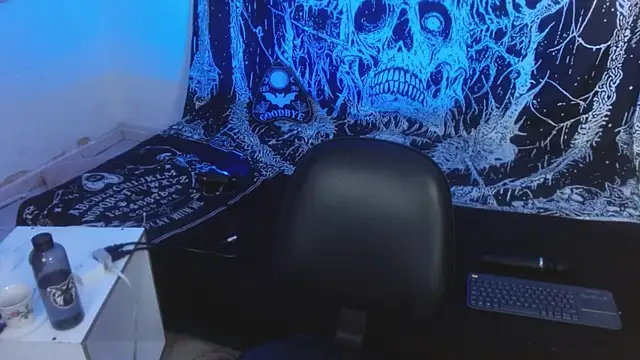 mikaskullcs webcam