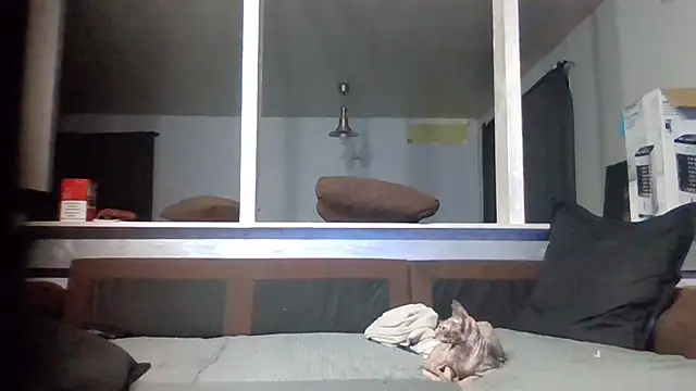 Bikerhot883hd webcam