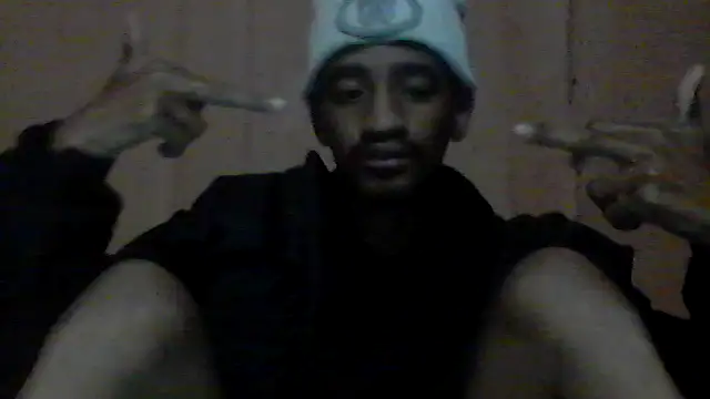 gemini_loops webcam
