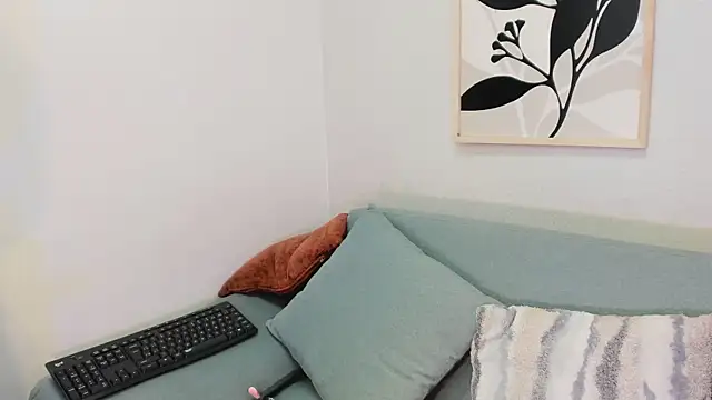 KassMonroe webcam