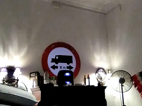 laisladepalma webcam