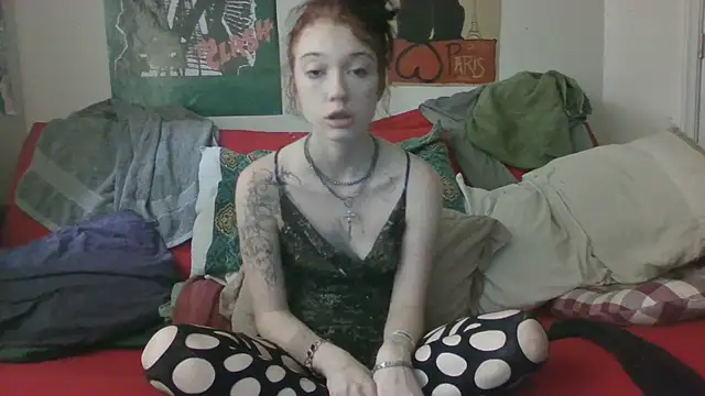 onyxascended webcam