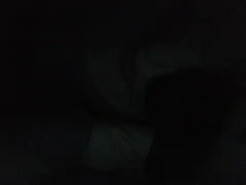 cutesnyder live cam on StripChat