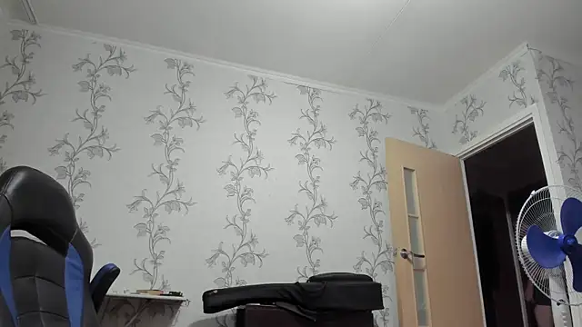 SanFrantsisko webcam