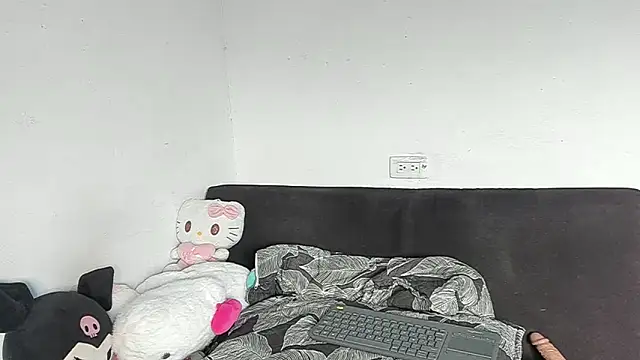 Eirlysx webcam