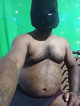 Hiptonos webcam