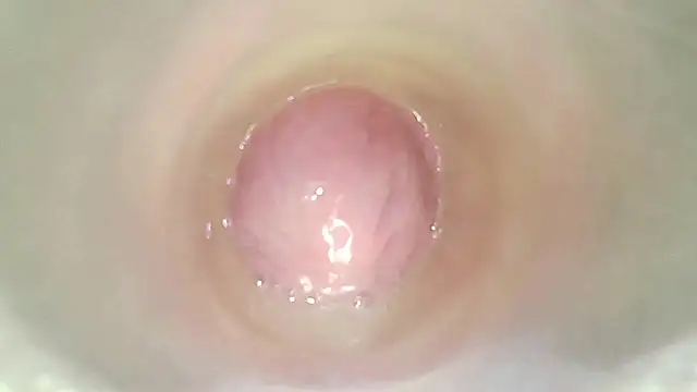 karol_stom webcam