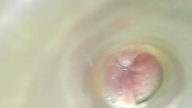 karol_stom webcam
