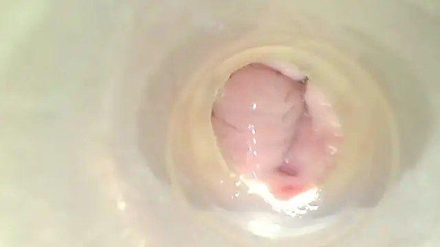 karol_stom webcam