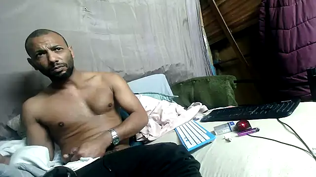 Camodick webcam