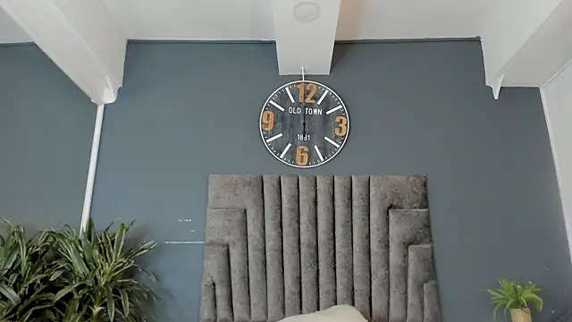 Robin_Rief webcam