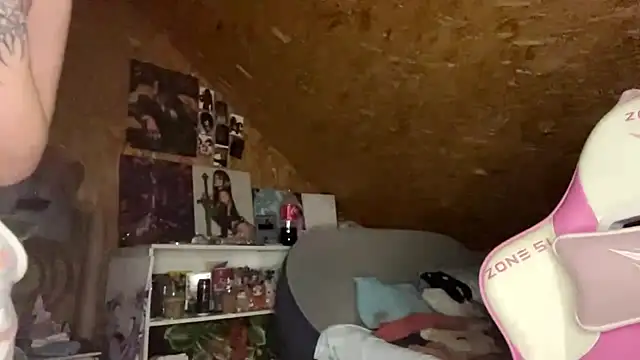 HeidiTian webcam