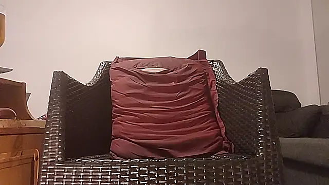 Tyyson03 webcam