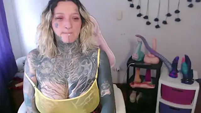 SLOPPYTITSS webcam