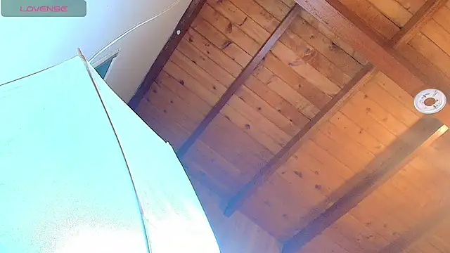 IvyShine7 webcam